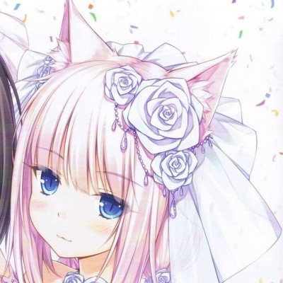 者来女被淘汰